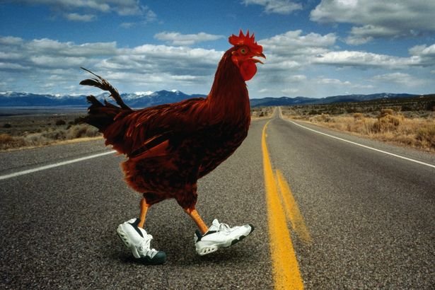 Un aperçu de chicken road casino